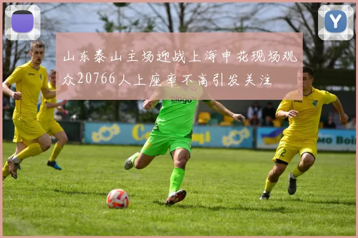 山东泰山主场迎战上海申花现场观众20766人上座率不高引发关注