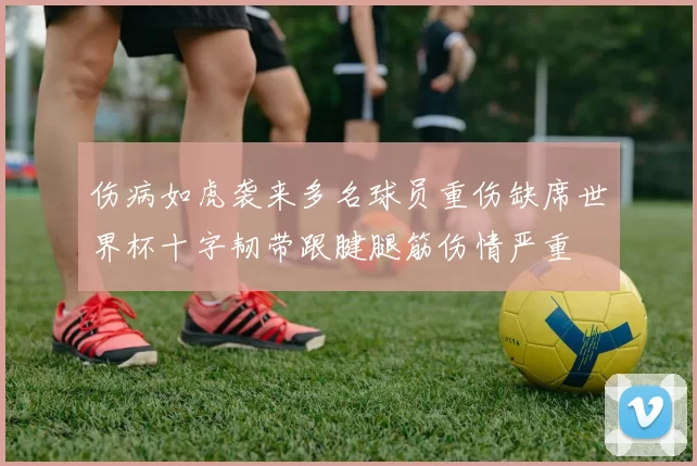 伤病如虎袭来多名球员重伤缺席世界杯十字韧带跟腱腿筋伤情严重